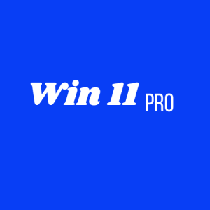 cheap windows 11 pro key