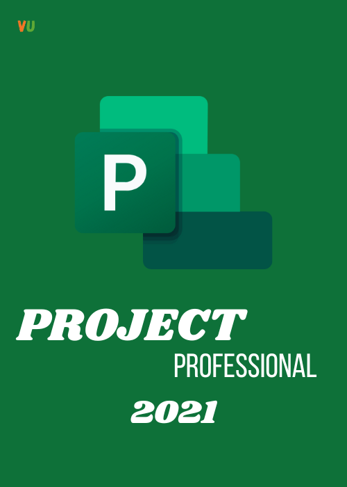 project 2021 professional