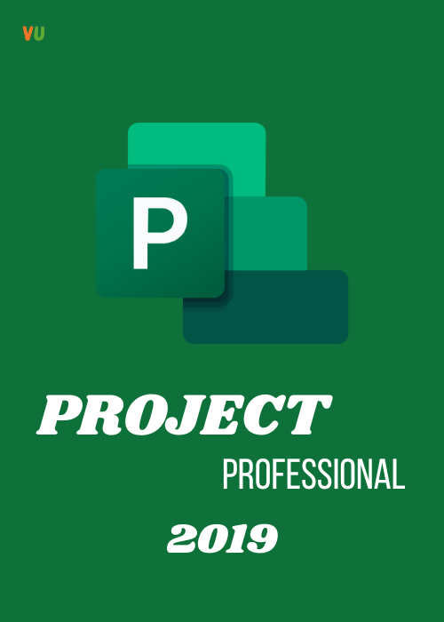 project 2019 professional